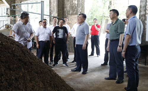 袁衛(wèi)東、王大真到金沙酒業(yè)調(diào)研指導(dǎo)工作(圖2)