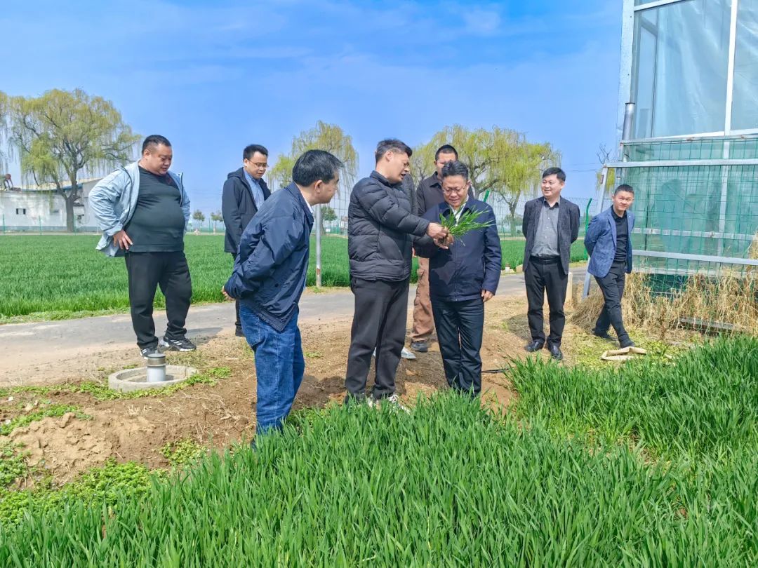 王大真走訪調(diào)研河南銷售市場(chǎng)(圖2) 王大真走訪調(diào)研河南銷售市場(chǎng)(圖2)