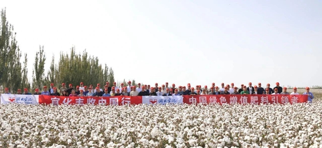 宜化豐收中國(guó)行！新疆棉花大型測(cè)產(chǎn)觀(guān)摩會(huì)成功舉行